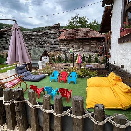 Vila Milica & Spa Aleksandra Dimitrovgrad Exterior foto